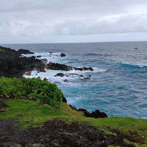 Meet your Posher, Debbi